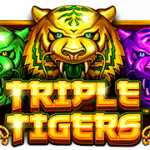 TRIPLE-TIGERS
